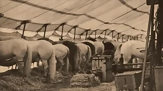 Dark Lantern Lark Hand-outs 'The Dragonfly' Scene 3 Pt&period;1